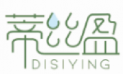 蒂丝盈DISIYING