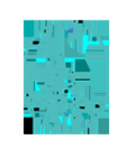 沁欣柔 QISINSOFT