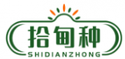 拾甸种SHIDIANZHONG